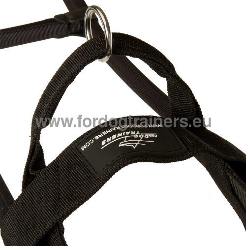 Comfortable Dog Harness Hand Stitched