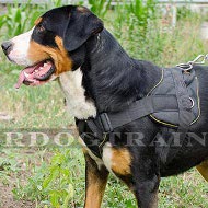 Hondentuig van nylon. Nieuw! [H12##1057 Pettorina multiuso in nylon per Maggiore Swiss Mountain Dog]