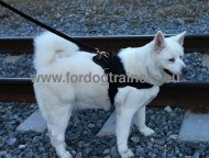 Husky Daily Usage Nylon Harness | Harness for Akita ❣ [H6###1057 Pettorina universale in nylon con maniglia per Husky]