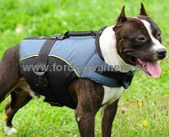 Nylon hond harnas met een extra handvat voor Pitbull