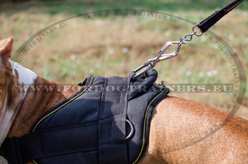 Harnais en nylon pour promenade et formation du Pitbull