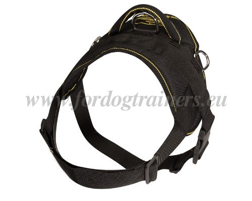 Harnais de dressage canin professionnel