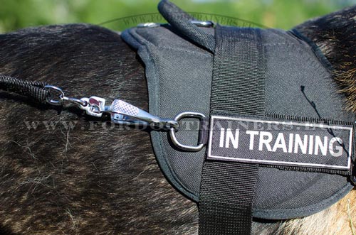 Comfortable Harness for German Shepherd