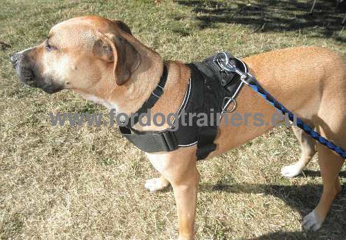 Praktisches Nylon Geschirr Pitbull