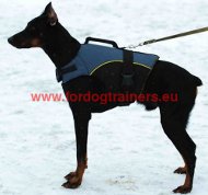 Doberman Coat Harness in Nylon