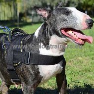 Harnais synthtique
            pour Bull Terrier | Harnais solide✪