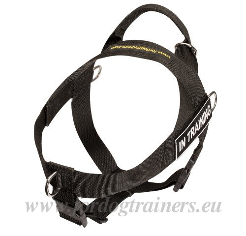 Harnais de dressage pour chien de chasse