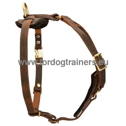 Harnais en cuir souple pour Amstaff