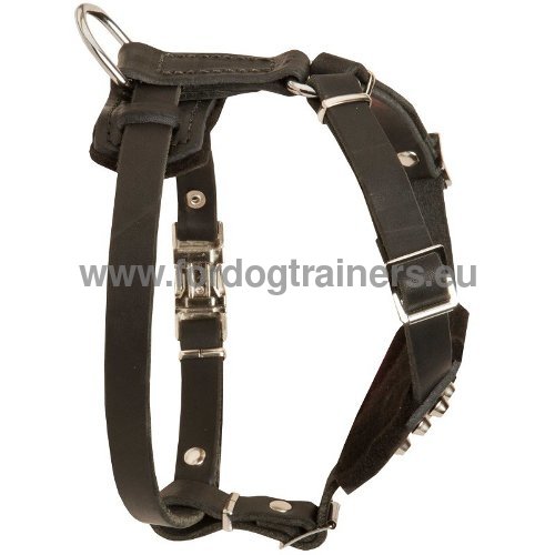 Comfortbale Dog Harness