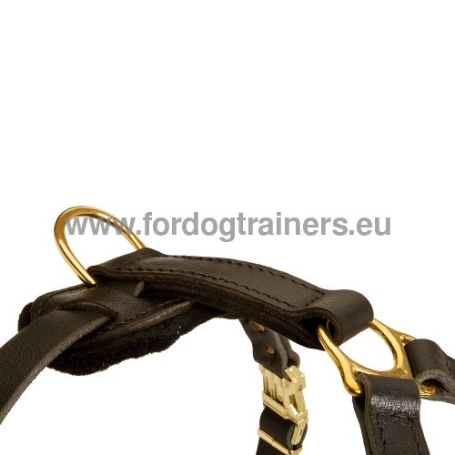 Are Harnesses Good for Large Dogs if Made of
Leather