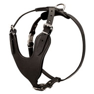 Agitation Leather Dog Harness