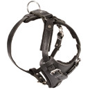 Agitation Dog Harness