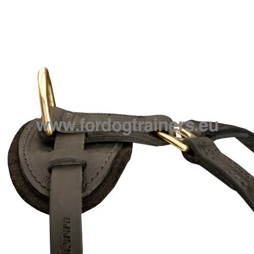 Multifunctional Leather Harness for Pitbull