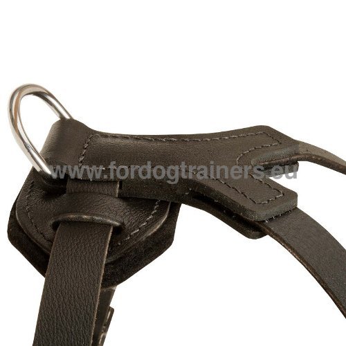 Harnais en cuir avec fourniture inoxydable pour chien