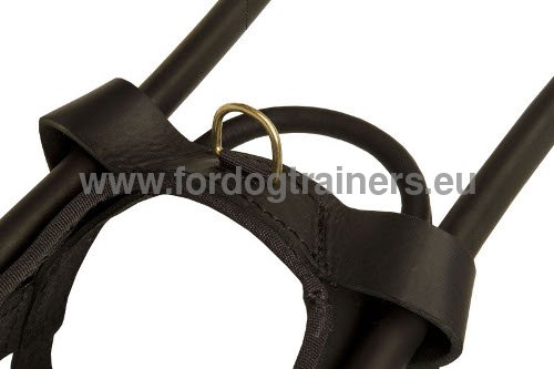 Reliable Assistance Dog Harness