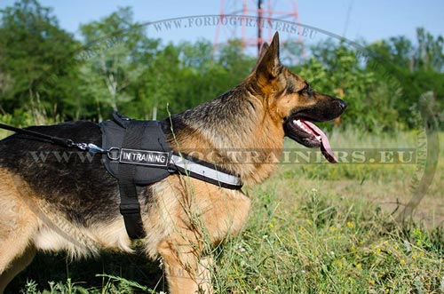 German Shepherd Harness with Patch