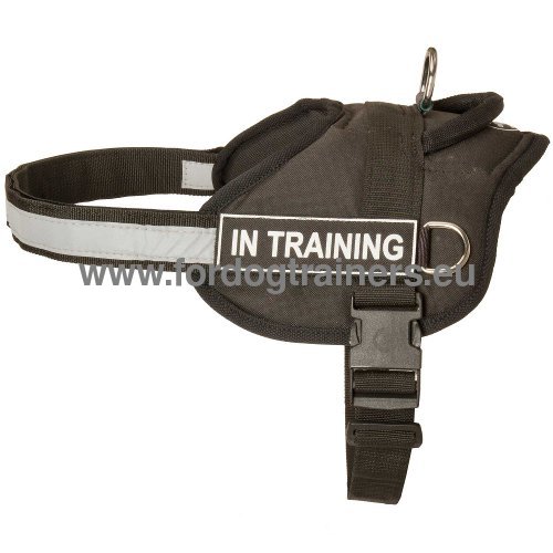 Nylon harness for Amstaff