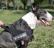 Harnais de Bull Terrier avec Logo