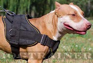Dog Harness Nylon Padded for Pibull ⚑