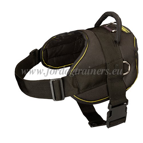 Dog
Harness Multifunctional