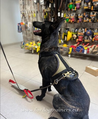 Dog Walking Harness Training Khaki