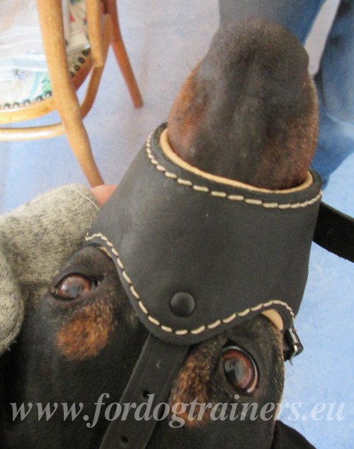 Halti Type Dog Muzzle with Nappa Padding