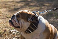 English Bulldog Collar with Spikes and Pyramids