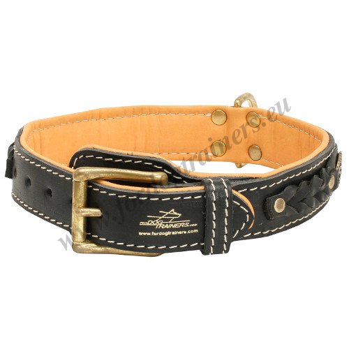 Thick Leather Padded Collar for Dog