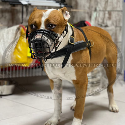 Genuine Leather Dog Harness Multi-use