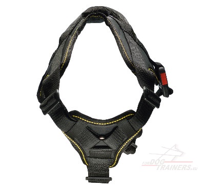 XXL Dog Training Harness Adjustable