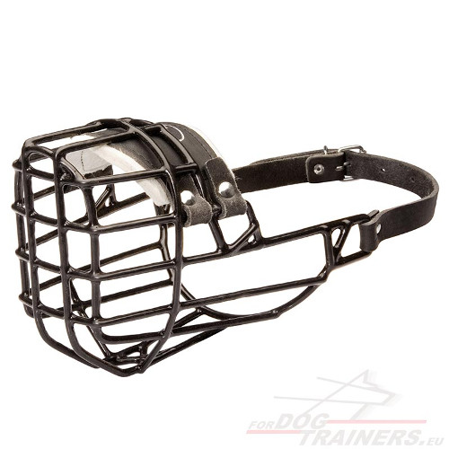 Wire Basket Muzzle for Pitbull