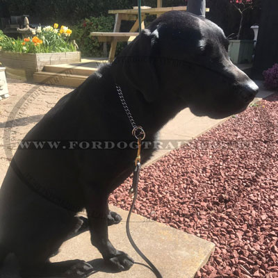 Black Leather Dog Lead Strong Adjustable