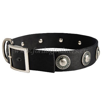 Fancy Dog Collar Nylon Waterproof