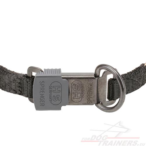 Buckle of the Prong Collar for Dogs