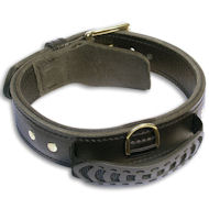 Leather dog collar with handle for Labrador