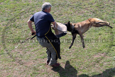 Preiswertige Schtze fr Hundetrainer