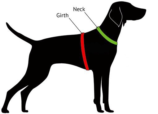 How to Measure the Dog Right