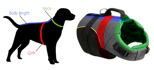 How
to measure the dog for a harness