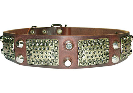 American bullLeather Dog Collar with vintage plates and pyramids - Click Image to Close