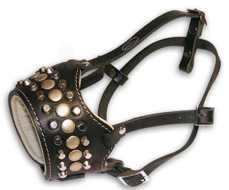 Studded leather muzzle for dog