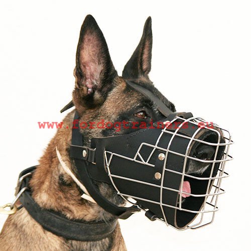 Hunde Maulkorb haltbar