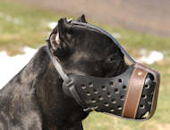 Bozal de perro de cuero para razas grandes, "Dondi Plus"