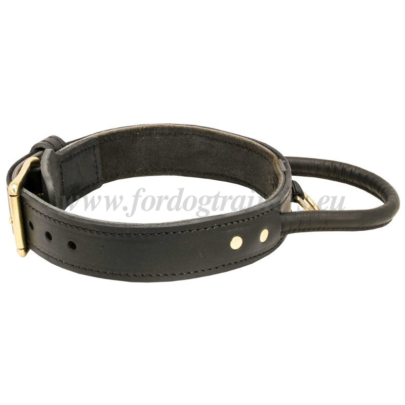 halter fr hundeleinen Schleppleinen-Halter  Pawfectly Collarful