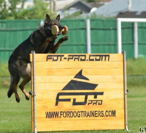Hurdle for
Dog Training