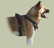 Husky Agitation Harness Padded Leather ★