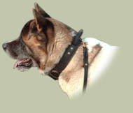 Husky Leather Dog Collar With Handle ✔