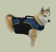 Coat Harness Nylon for Siberian Husky ☁