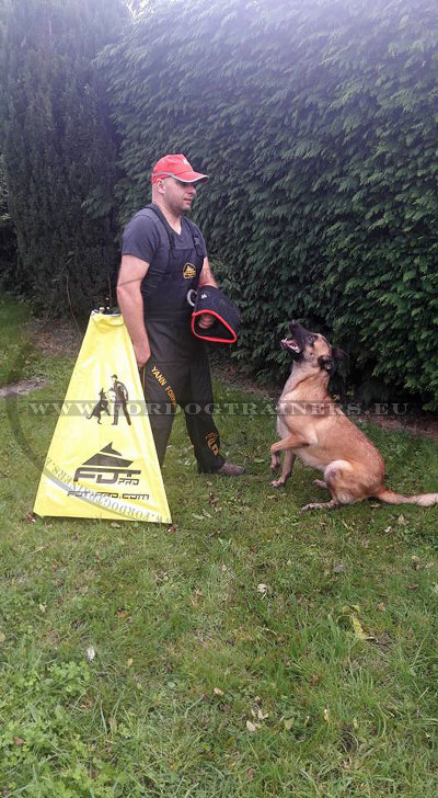 Dog Training Blind FDT