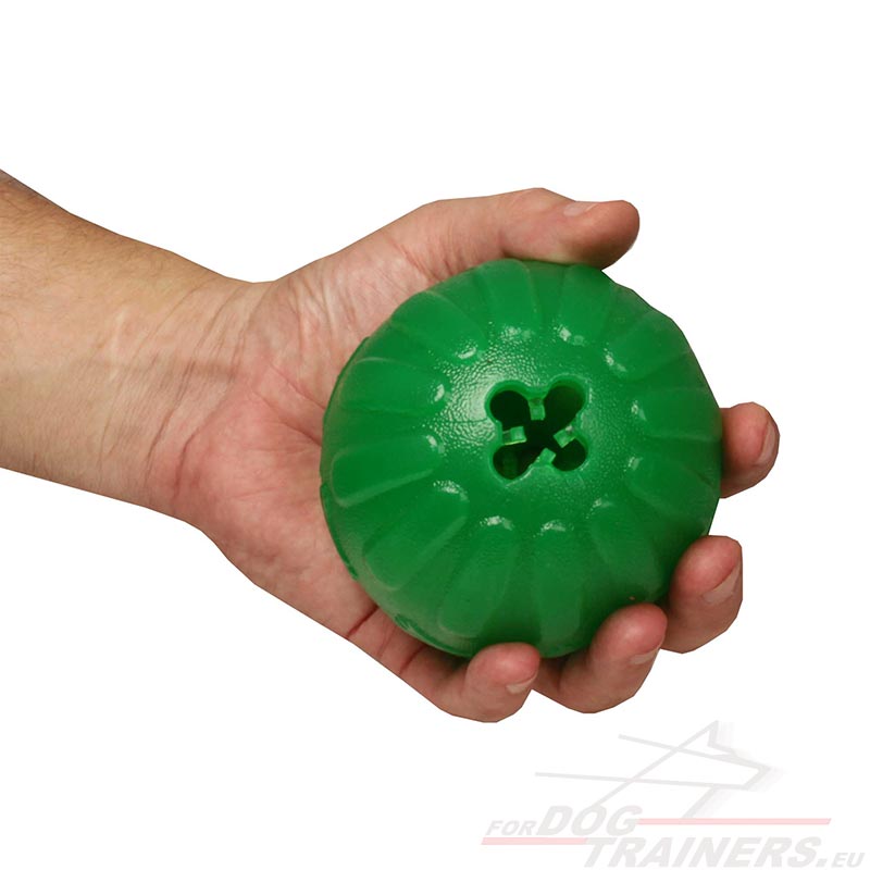 Resistant
dog toy for food