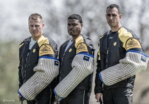 Hetzarm k9 für Training